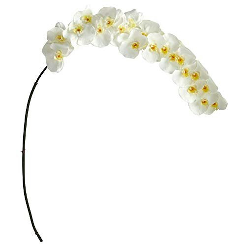 Nearly Natural 5-Foot Phalaenopsis Artificial Orchid 2-Pack: $52.47 Nearly Natural 5-Foot Phalaenopsis Artificial Orchid 2-Pack: $52.47