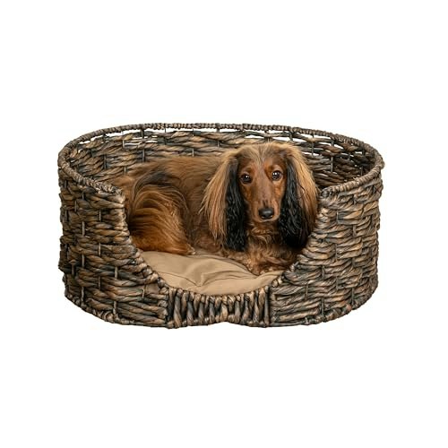 Perri 24" x 18" Oval Handwoven Hyacinth Pet Bed: $58.99 Perri 24" x 18" Oval Handwoven Hyacinth Pet Bed: $58.99