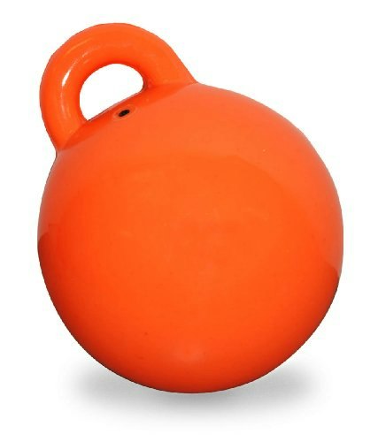 TaylorMade Personal Watercraft Pickup Buoy: $8.59 TaylorMade Personal Watercraft Pickup Buoy: $8.59
