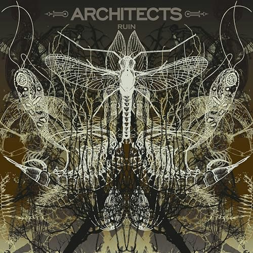 Ruin Limited Picture Disc: $34.22 Ruin Limited Picture Disc: $34.22