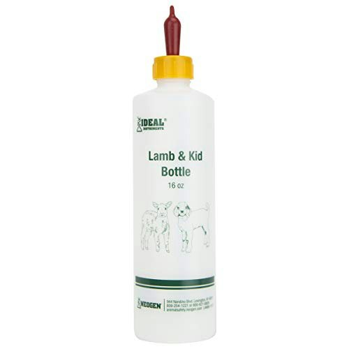 Ideal 16oz Lamb & Kid Bottle: $12.79