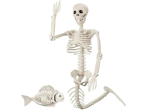 Halloween Mermaid & Fish Skeleton Set