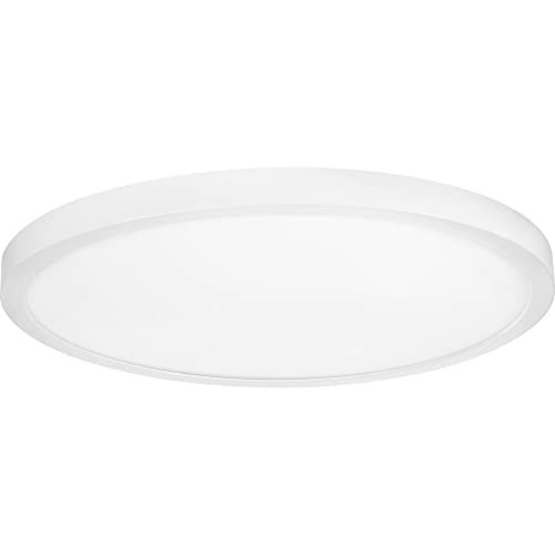 Progress Lighting Everlume 18-inch LED Surface Mount Light: $0