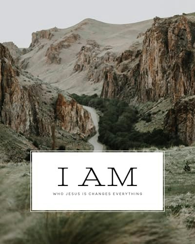 I Am - Who Jesus Is Changes Everything Men's Book: $13.56