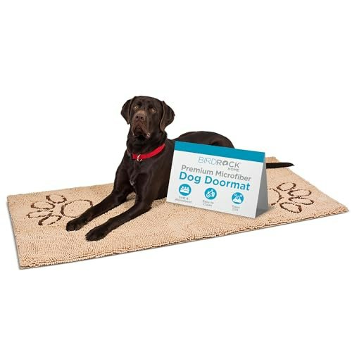 Internet's Best 60x30-Inch Chenille Dog Doormat: $49.95