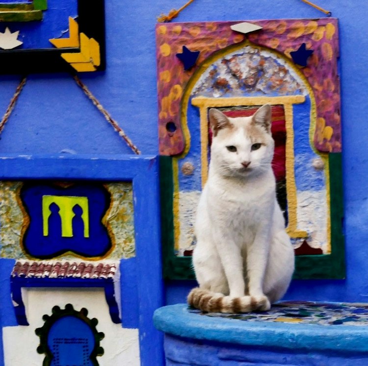 9-Night Morocco Escorted Flight, Hotel, and Tour Vacation: From $3,598 for 2