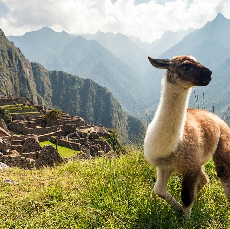 7-Night Peru Flight, Hotel, and Tour Vacation: From $2,598 for 2 7-Night Peru Flight, Hotel, and Tour Vacation: From $2,598 for 2
