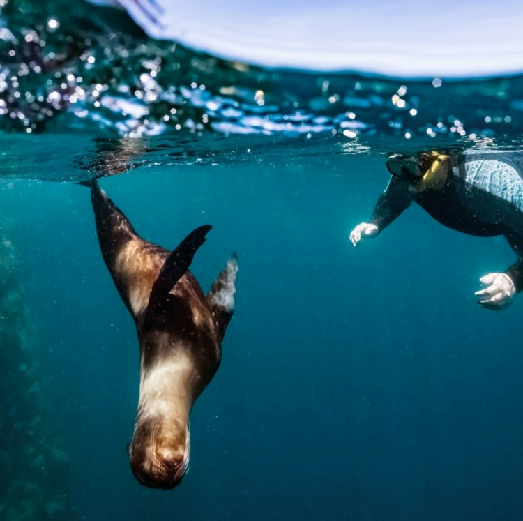 10-Night Ecuador & Galapagos Flight, Hotel, and Tour Vacation: From $3,898 for 2 10-Night Ecuador & Galapagos Flight, Hotel, and Tour Vacation: From $3,898 for 2