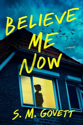Believe Me Now: A Novel: $16.10 Believe Me Now: A Novel: $16.10