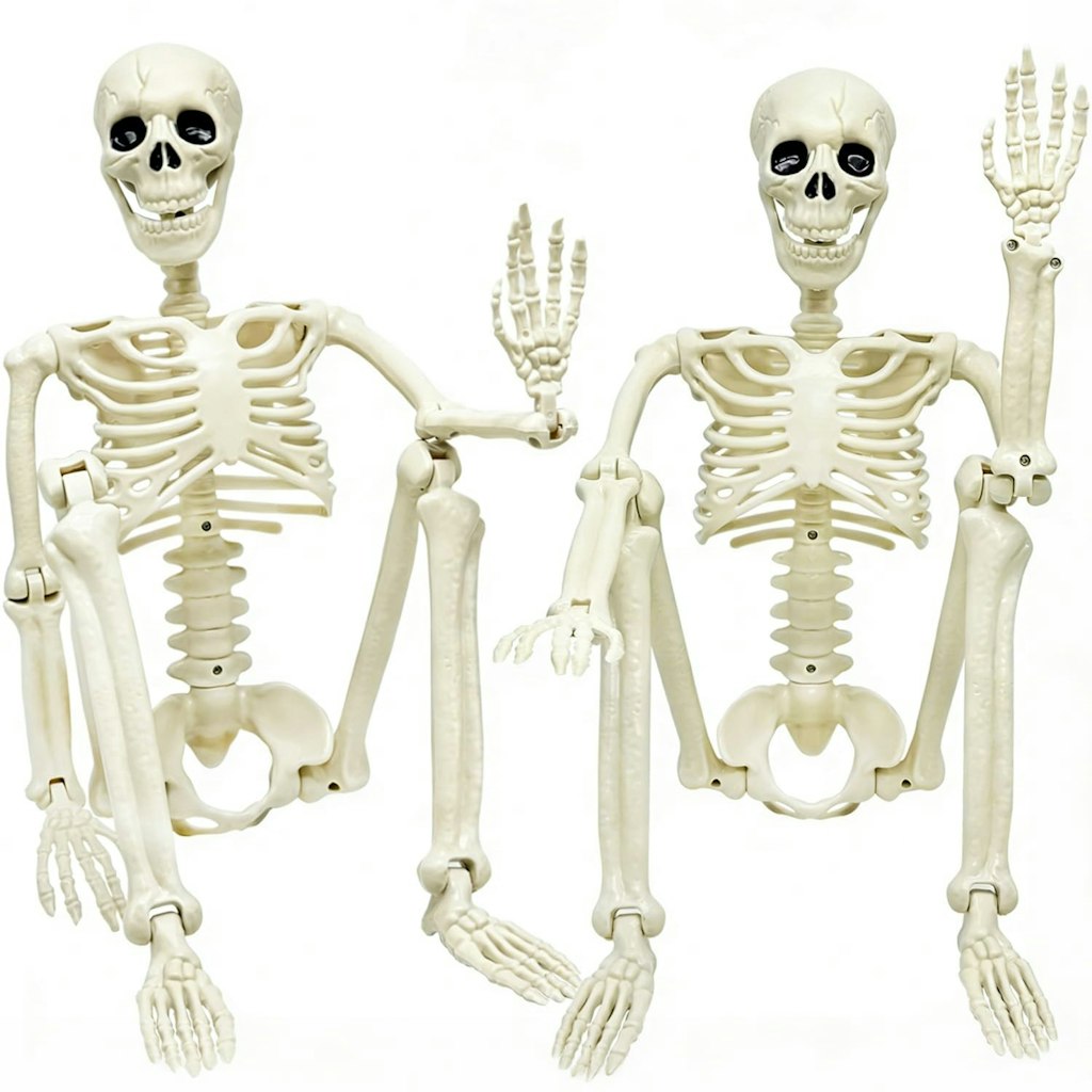 36" Posable Plastic Skeleton 2-Pack: $18