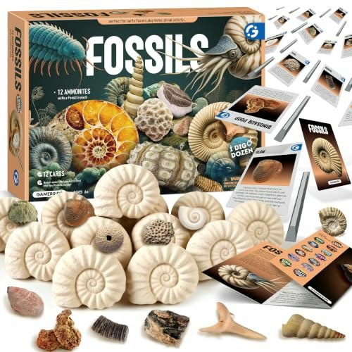 Gamerside Fossil Digging Kit: $17.99
