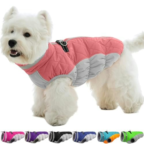 Ouobob Small Dog Winter Coat with Harness: $30.59 Ouobob Small Dog Winter Coat with Harness: $30.59