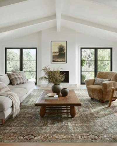 Loloi Amber Lewis Georgie 3' x 10' Runner Rug: $76.99