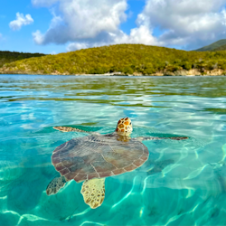 Norwegian 7-Night Caribbean Cruise for From $1,638 for 2