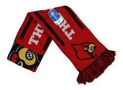 NCAA College Logo & Team Colors Knit Fringe Scarf for $15 or less when you buy more + free shipping