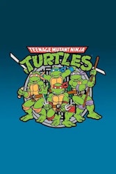 Teenage Mutant Ninja Turtles Complete Classic Series for $20