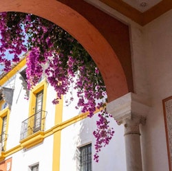Scenic 10-Night Madeira & Balearic Isles Cruise for From $20,800 for 2