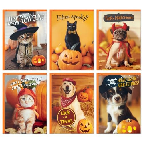 Hallmark Halloween Pet Pun Cards 48-Pack: $10.41 Hallmark Halloween Pet Pun Cards 48-Pack: $10.41