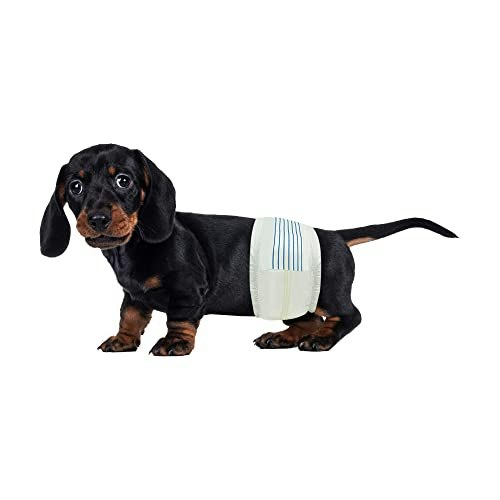 BV Small Disposable Male Dog Diapers 50-Count: $23.08 BV Small Disposable Male Dog Diapers 50-Count: $23.08