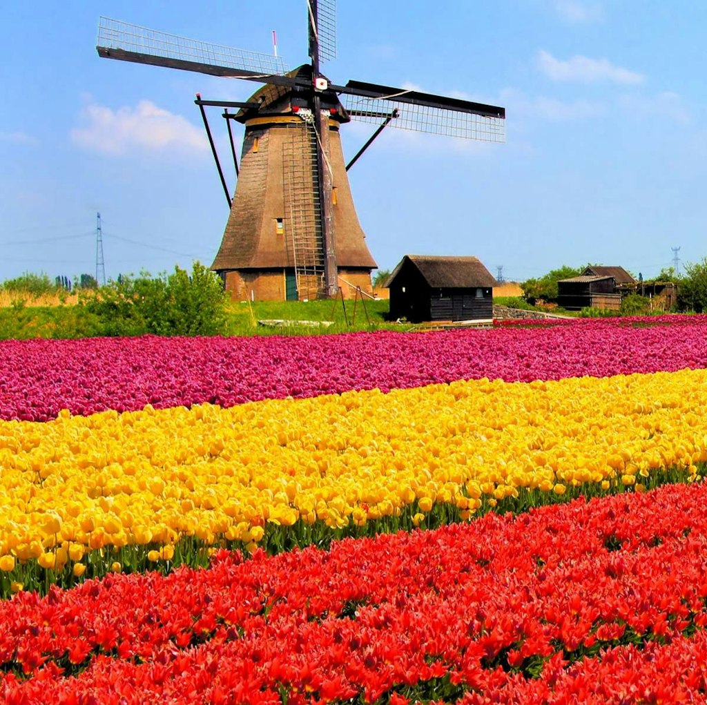 Avalon Waterways 7-Night Tulip Time River Cruise: From $8,652 for 2 Avalon Waterways 7-Night Tulip Time River Cruise: From $8,652 for 2