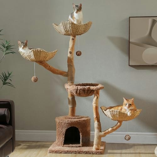 Muttros 59-Inch Modern Cat Tree: $178.49 Muttros 59-Inch Modern Cat Tree: $178.49
