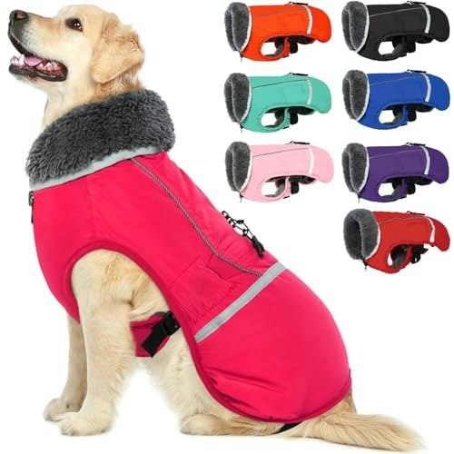 Qbleev Waterproof Reflective Warm Dog Coat: $37.39 Qbleev Waterproof Reflective Warm Dog Coat: $37.39