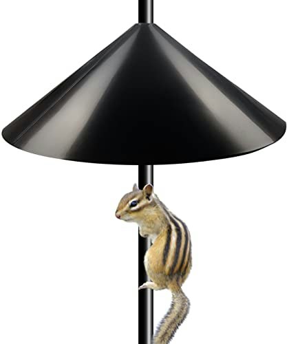 Garbuildman 19-Inch Squirrel Baffle for Bird Feeder Pole: $18.69 Garbuildman 19-Inch Squirrel Baffle for Bird Feeder Pole: $18.69