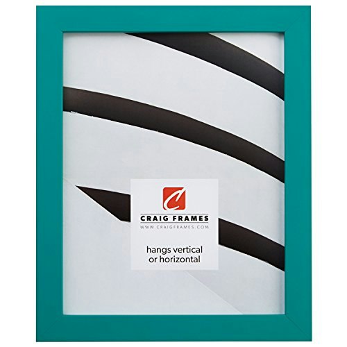 Craig Frames Confetti 8.5" x 11" Picture Frame: $34.12 Craig Frames Confetti 8.5" x 11" Picture Frame: $34.12