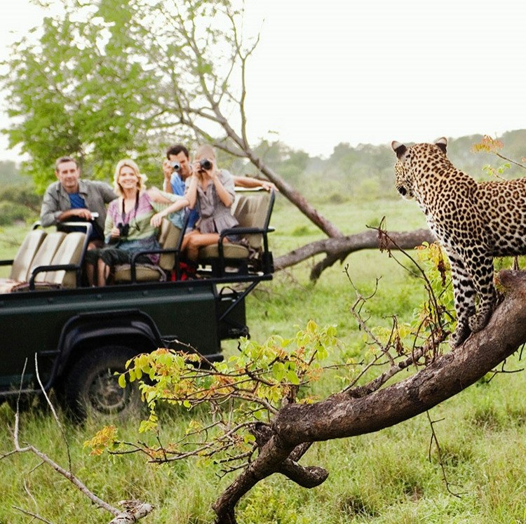 8-Night South Africa Flight, Hotel, and Safari Vacation: From $5,498 for 2