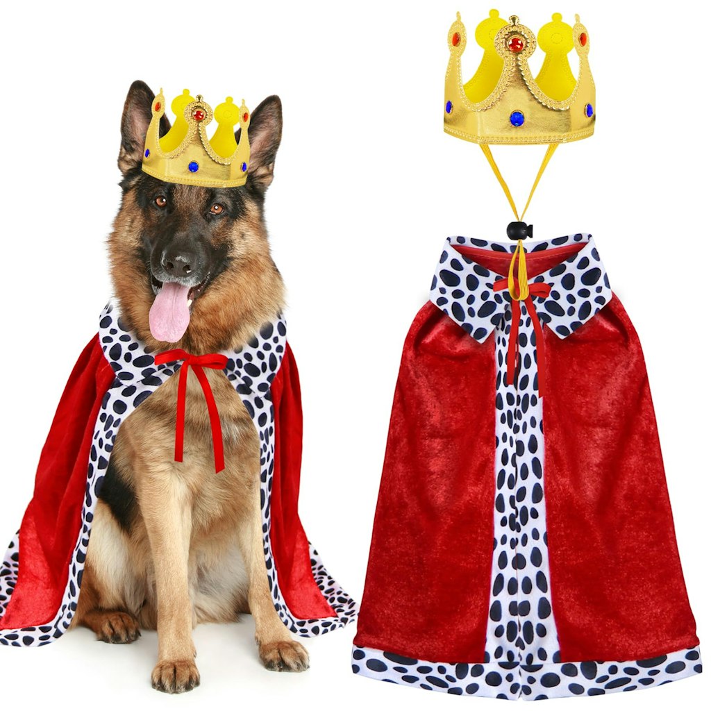 Dog King Cloak & Crown Halloween Costume Set: $4.99