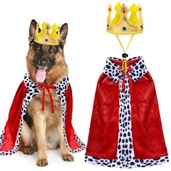 Dog King Cloak & Crown Halloween Costume Set for $5 + free shipping w/ Prime