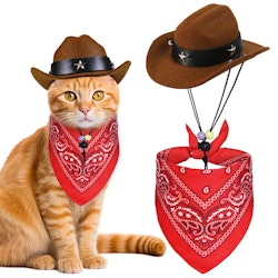 Cat Cowboy Costume for $4 + free shipping w/ Prime