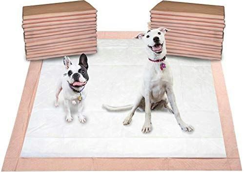 Mednet Direct 30" x 36" Puppy Training Pads 100-Pack: $44.02 Mednet Direct 30" x 36" Puppy Training Pads 100-Pack: $44.02
