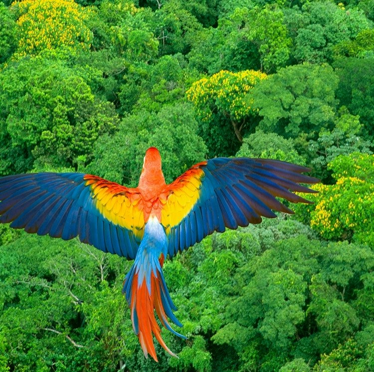 7-Night Costa Rica Flight, Hotel, and Tour Vacation: From $3,096 for 2 7-Night Costa Rica Flight, Hotel, and Tour Vacation: From $3,096 for 2