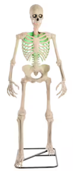 Home Accents Holiday 6.5-ft. Grave & Bones Animated Ultra Skelly w/ LCD LifeEyes for $195 + free shipping