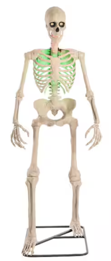 Home Accents Holiday 6.5-ft. Grave & Bones Animated Ultra Skelly w/ LCD LifeEyes: $195 Home Accents Holiday 6.5-ft. Grave & Bones Animated Ultra Skelly w/ LCD LifeEyes: $195