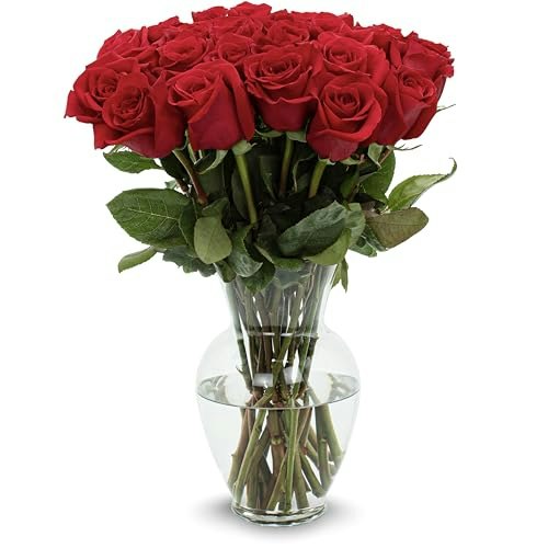 Stargazer Barn 24-Stem Premium Red Roses Bouquet with Vase: $48.74 Stargazer Barn 24-Stem Premium Red Roses Bouquet with Vase: $48.74