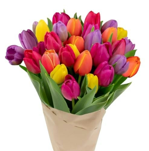 Stargazer Barn 30-Stem Rainbow Tulip Bouquet: $42.15 Stargazer Barn 30-Stem Rainbow Tulip Bouquet: $42.15