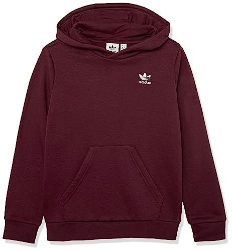Adidas Originals Kids' Adicolor Hoodie: $26.62