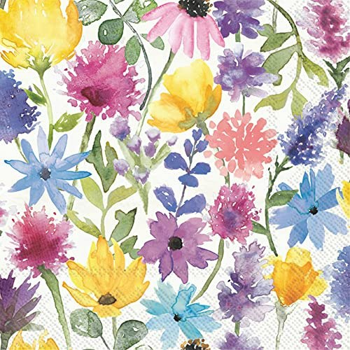 Boston International 3-Ply Cocktail Napkins 20-Pack: $4.13 Boston International 3-Ply Cocktail Napkins 20-Pack: $4.13