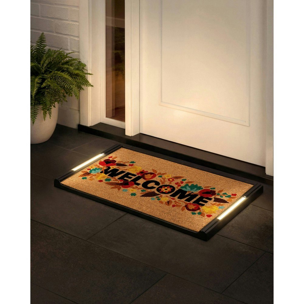 BriteStep 32.5" x 18.5" Rectangle Coir Door Mat: $59.99 BriteStep 32.5" x 18.5" Rectangle Coir Door Mat: $59.99