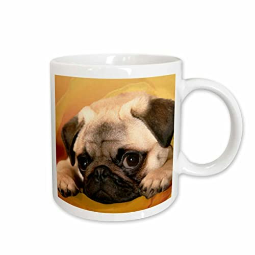 3dRose Pug 11oz Mug: $11.61