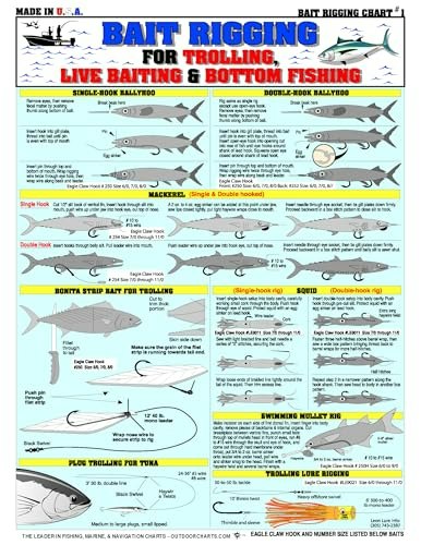 Saltwater Bait Rigging Chart 1: $3.99