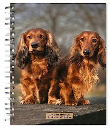BrownTrout 2024 Dachshund Weekly Engagement Planner: $7.56 BrownTrout 2024 Dachshund Weekly Engagement Planner: $7.56