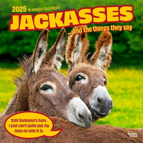 Jackasses 2025 12x24-Inch Wall Calendar: $16.14