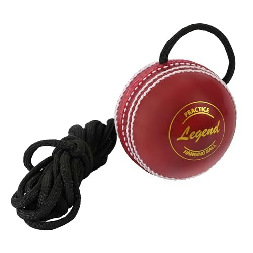 SS Legend Hanging Practice Ball: $9.99 SS Legend Hanging Practice Ball: $9.99