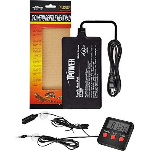 iPower 4"x7" Reptile Heat Mat and Digital Thermometer Hygrometer: $12.35 iPower 4"x7" Reptile Heat Mat and Digital Thermometer Hygrometer: $12.35