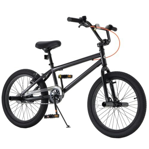 RoyalBaby 20-Inch BMX Freestyle Kids Bike: $224.99 RoyalBaby 20-Inch BMX Freestyle Kids Bike: $224.99