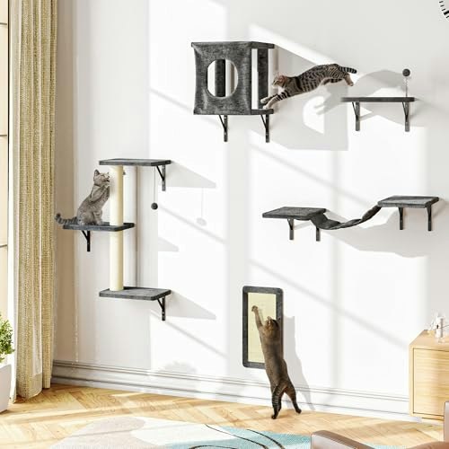 Cat Wall Shelves 5-Piece Set: $59.99 Cat Wall Shelves 5-Piece Set: $59.99