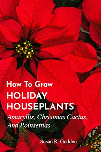 How to Grow Holiday Houseplants: Amaryllis, Christmas Cactus, and Poinsettias: $16.33 How to Grow Holiday Houseplants: Amaryllis, Christmas Cactus, and Poinsettias: $16.33